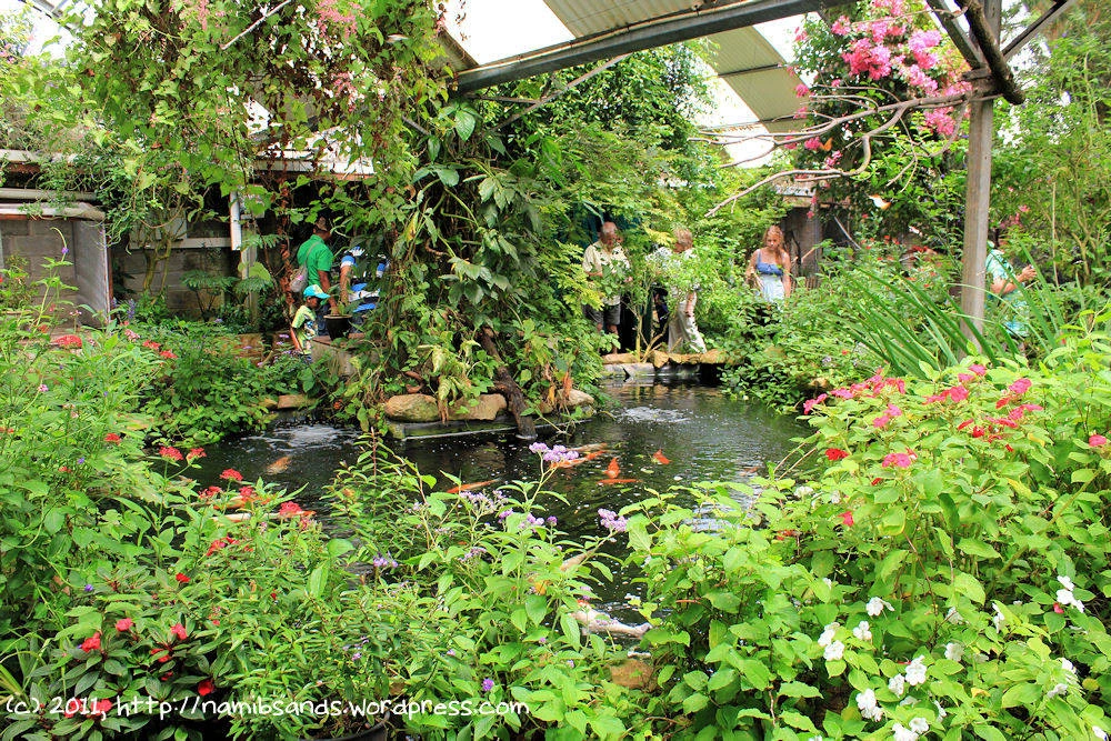 Butterfly World OR Giraffe House main