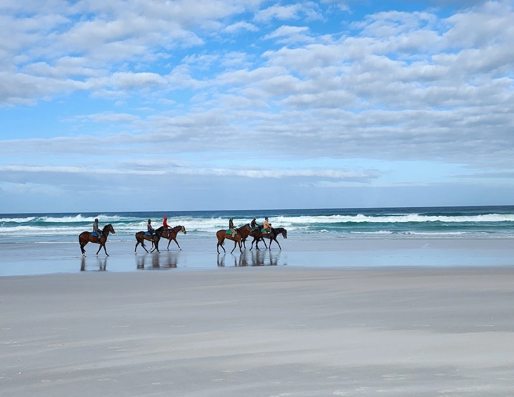 Cape Dunes Horse Ride main