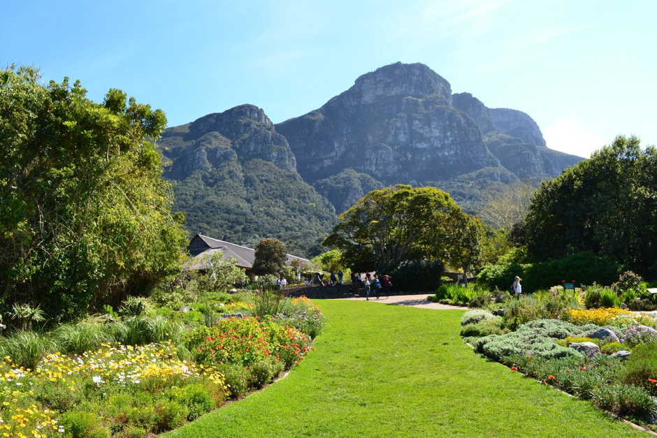 Cape Town Gems – Kirstenbosch & Constantia Winelands Experience