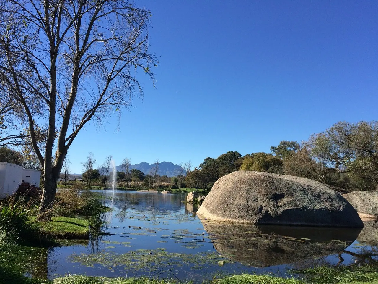 Spier Wine Farm 3