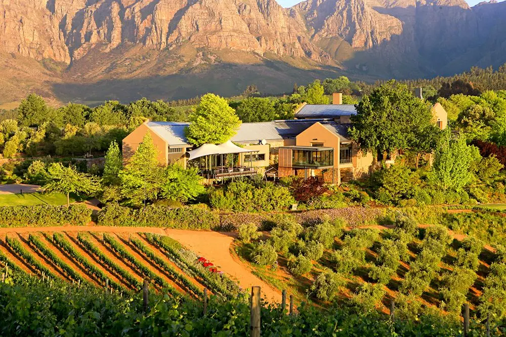 Premium Stellenbosch Wine, Cheese & Chocolate Pairing Tour extra gallery image 10