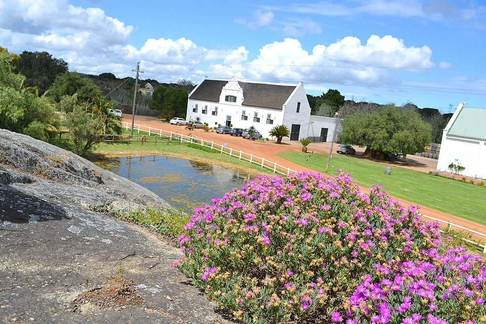 Groote Post Winery main