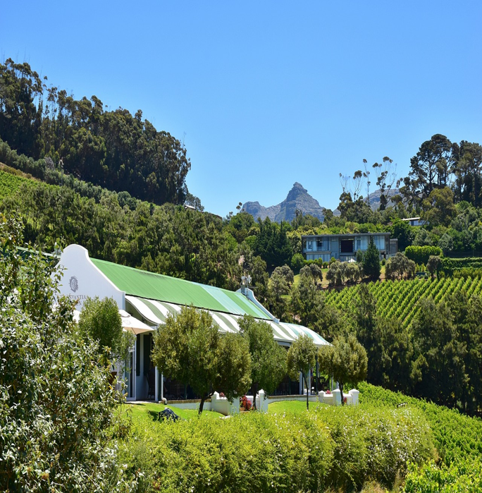 Lunch in Constantia main