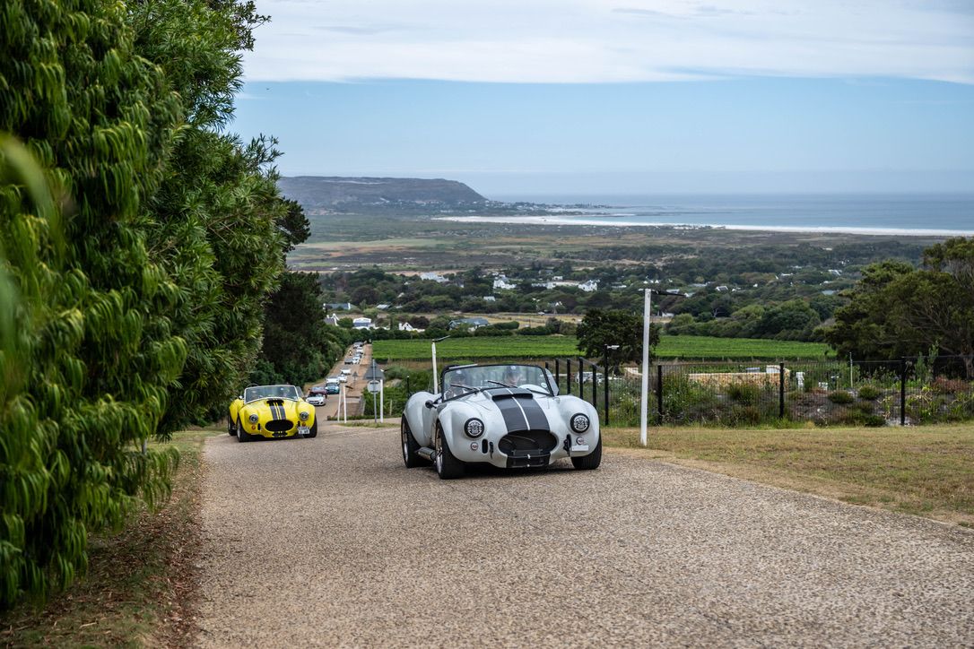 24‑Hour Self‑Drive Cobra Experience extra gallery image 11