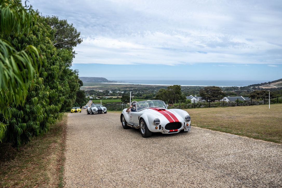 24‑Hour Self‑Drive Cobra Experience extra gallery image 17