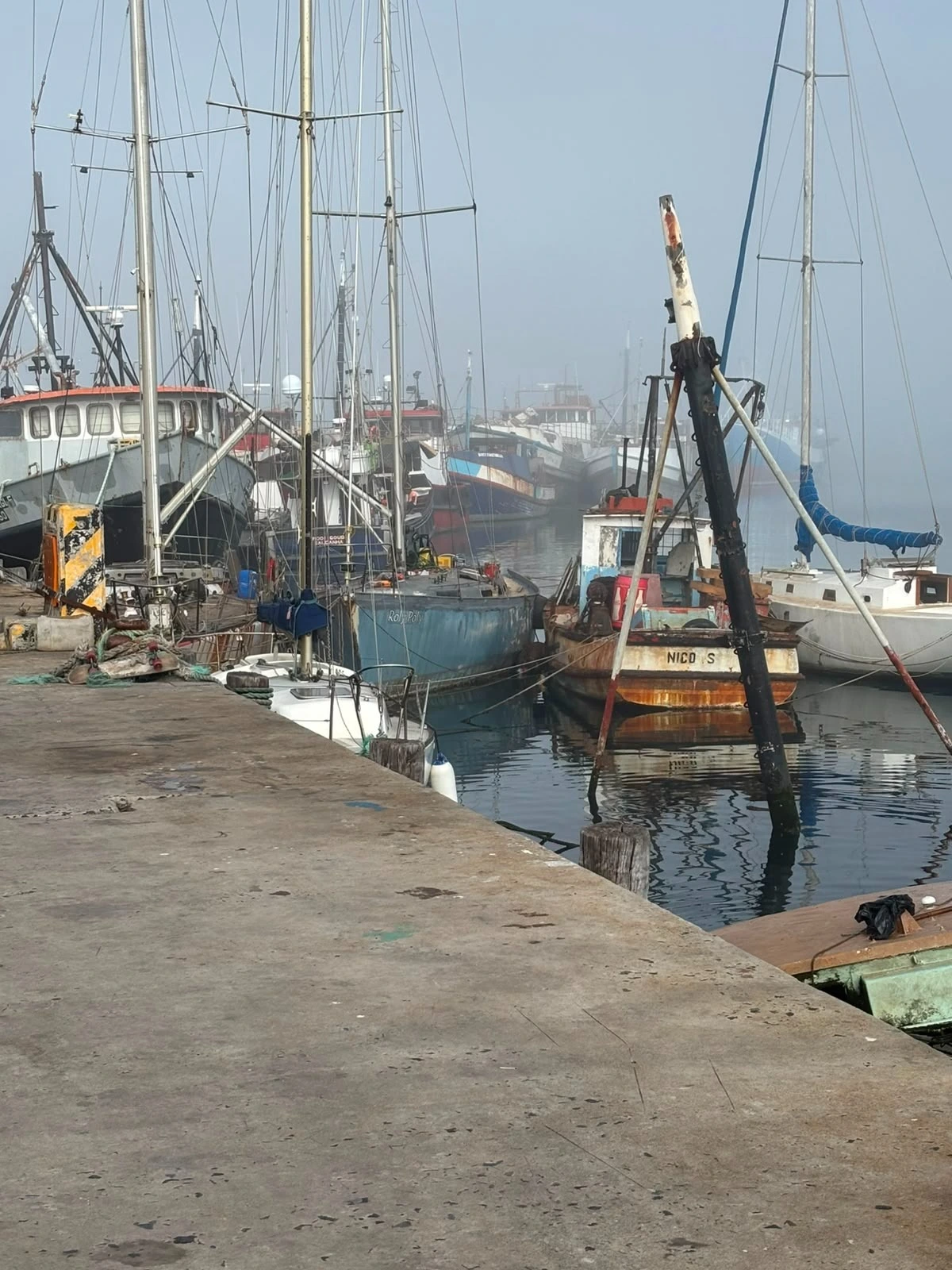 Cape Peninsula Tour extra gallery image 13