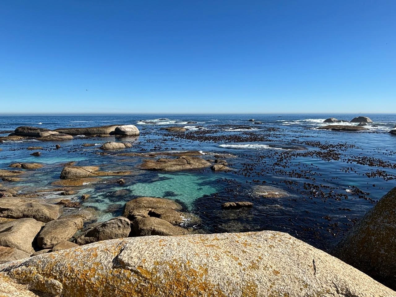 Cape Peninsula Tour extra gallery image 15