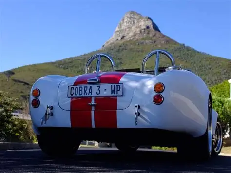 24‑Hour Self‑Drive Cobra Experience extra gallery image 13