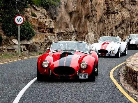 24‑Hour Self‑Drive Cobra Experience extra gallery image 14