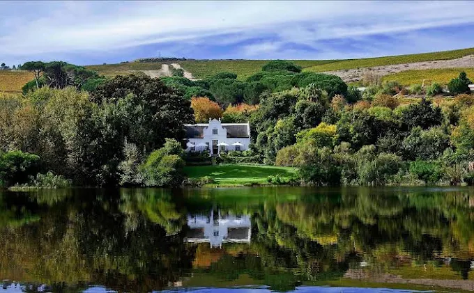 Stellenbosch & Franschhoek Winelands Tour gallery image 7